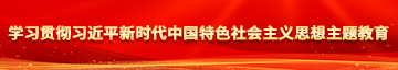 黑屌视频学习贯彻习近平新时代中国特色社会主义思想主题教育